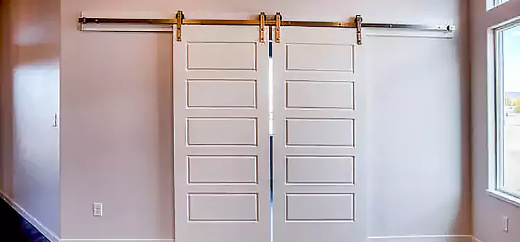 Glass Barn Door with Installation Hardware Kit Defiance