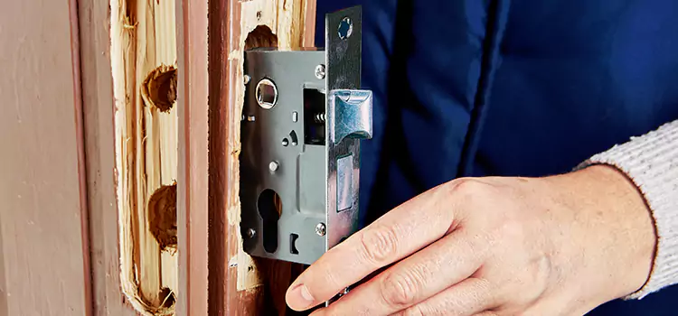Garage Door Lock Replacement Defiance
